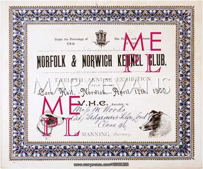 : NORFOLK DOG SHOW PRIZE : NORFOLK DOG SHOW PRIZE
