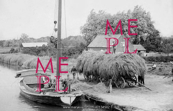  : Norfolk Wherry Ethel