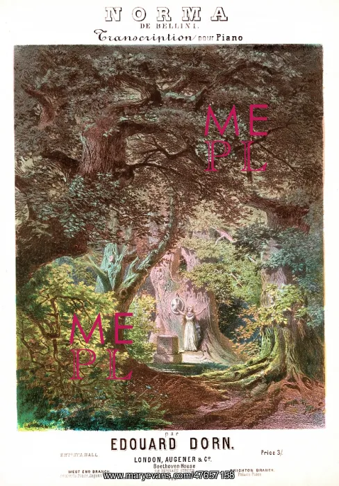 : Norma de Bellini - Music Sheet Cover : Norma de Bellini - Music Sheet Cover