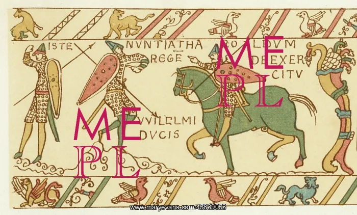 : NORMAN CONQUEST 13 OF 16 : NORMAN CONQUEST 13 OF 16