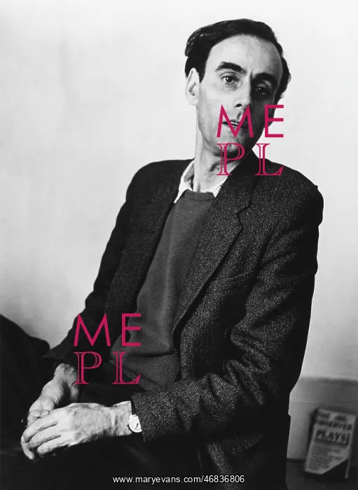 : Norman Frederick Simpson : Norman Frederick Simpson