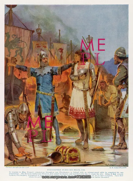  : NORMANS IN IRELAND 1169