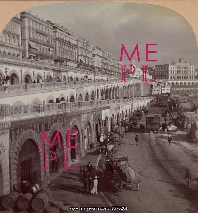 : North Africa, Algiers, 1902 : North Africa, Algiers, 1902