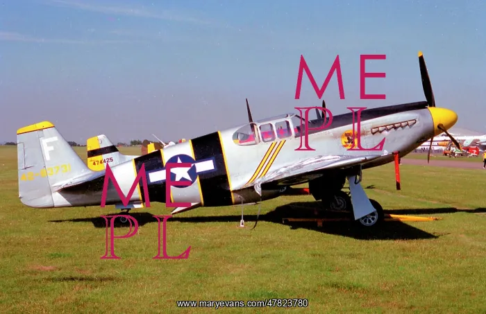 : North American A-36A Apache N251A : North American A-36A Apache N251A
