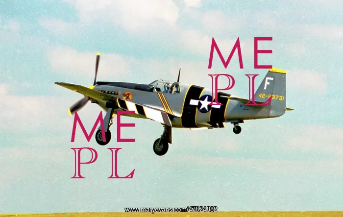 : North American A-36A Apache N251A : North American A-36A Apache N251A
