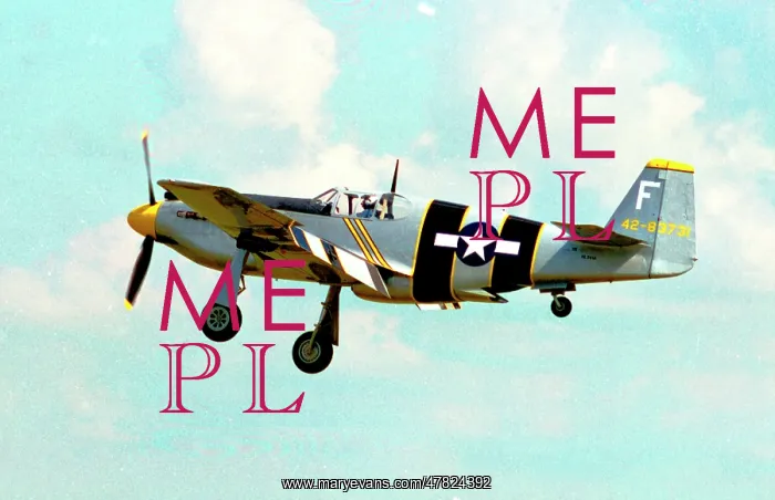 : North American A-36A Apache N251A : North American A-36A Apache N251A