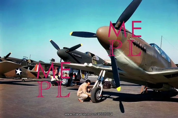 : North American Aviation P-51 'Apache' : North American Aviation P-51 'Apache'