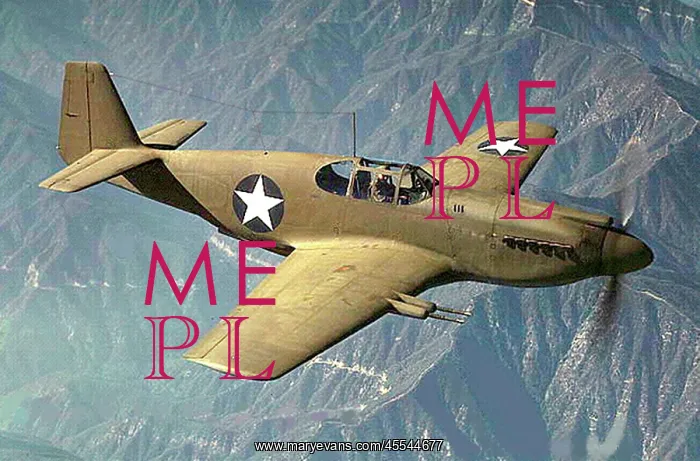: North American Aviation P-51 'Apache' : North American Aviation P-51 'Apache'