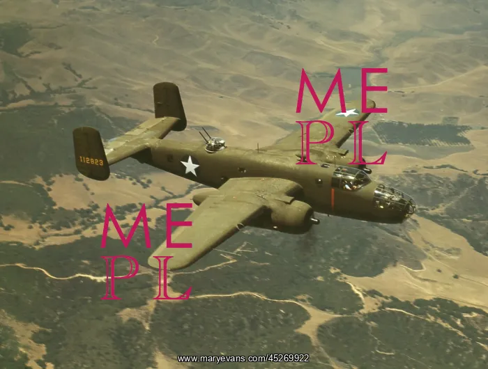 : North American Aviation's B-25 Mitchell bomber : North American Aviation's B-25 Mitchell bomber