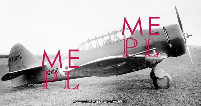 : North American Harvard I N7000 : North American Harvard I N7000