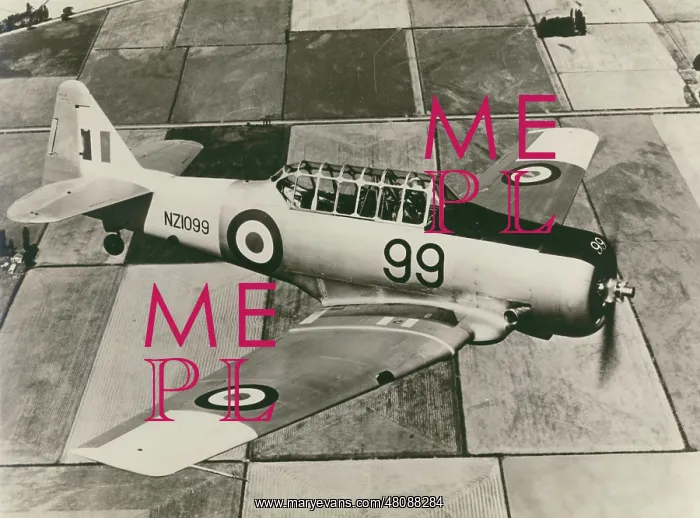 : North American Harvard, NZ1099 : North American Harvard, NZ1099