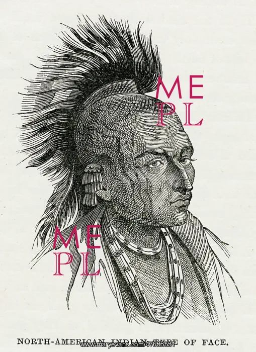 : North American Indian : North American Indian