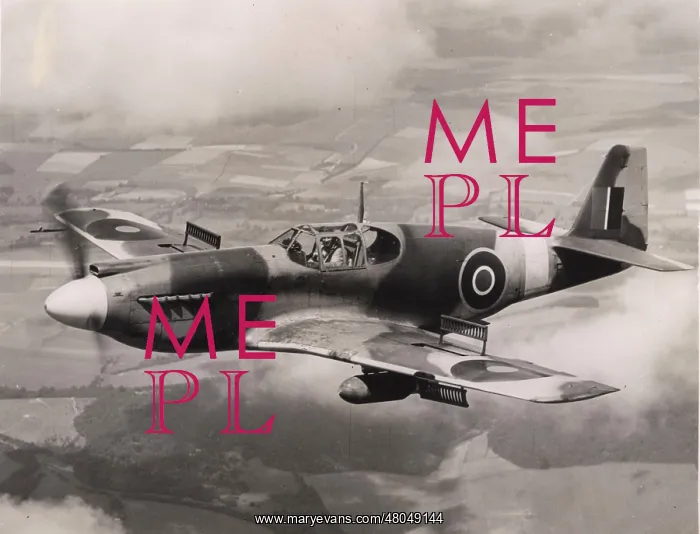 : North American Mustang I : North American Mustang I