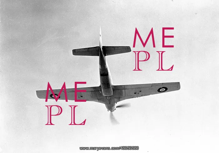 : North American Mustang I : North American Mustang I