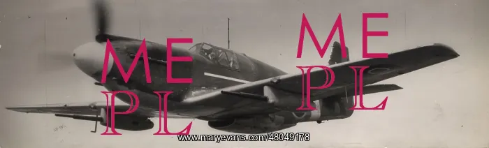 : North American Mustang I AM106 : North American Mustang I AM106
