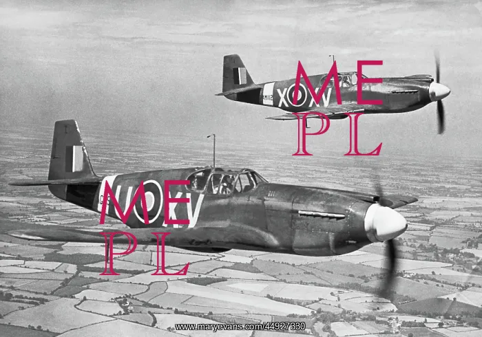 : North American NA-73 Mustang I : North American NA-73 Mustang I