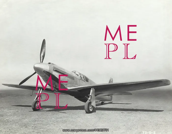 : North American NA-73X Prototype Mustang : North American NA-73X Prototype Mustang