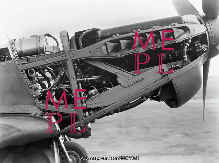 : North American P-51 Mustang : North American P-51 Mustang