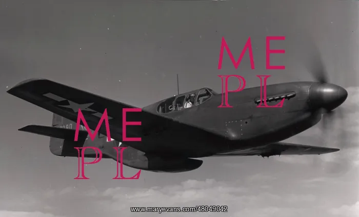 : A North American P-51 Mustang : A North American P-51 Mustang