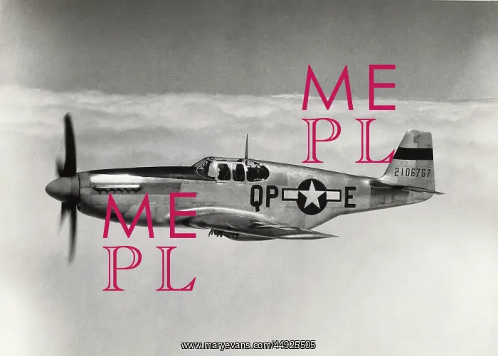 : North American P-51B Mustang : North American P-51B Mustang