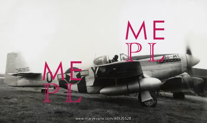 : North American P-51B Mustang : North American P-51B Mustang