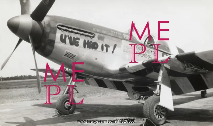 : North American P-51B Mustang : North American P-51B Mustang