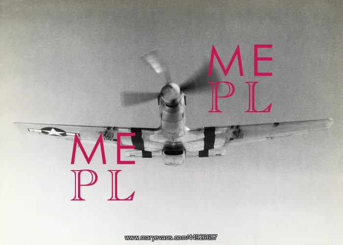 : North American P-51B Mustang : North American P-51B Mustang