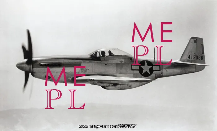 : North American P-51D Mustang : North American P-51D Mustang