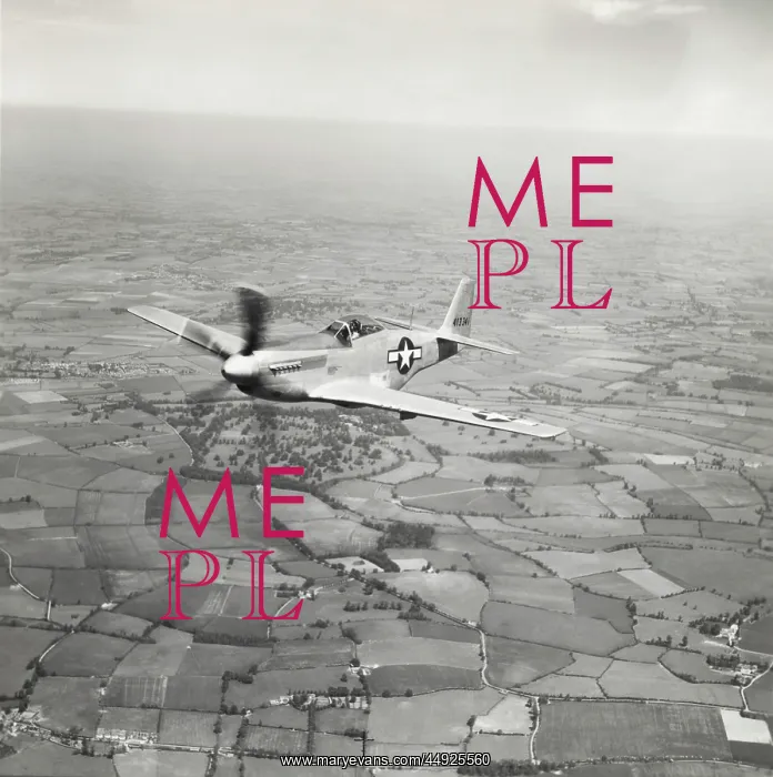  : North American P-51D Mustang