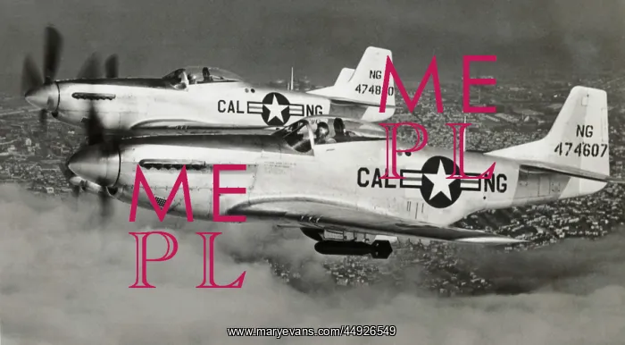 : North American P-51D Mustang : North American P-51D Mustang