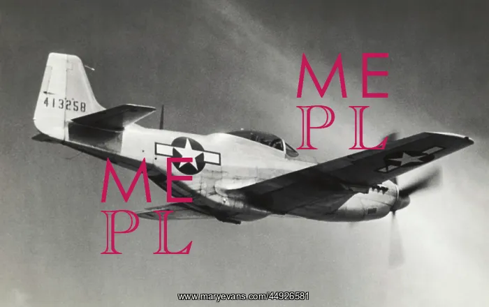 : North American P-51D Mustang : North American P-51D Mustang