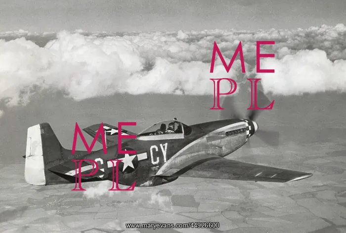 : North American P-51D Mustang : North American P-51D Mustang