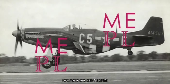 : North American P-51D Mustang : North American P-51D Mustang