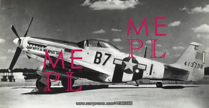 : North American P-51D Mustang : North American P-51D Mustang