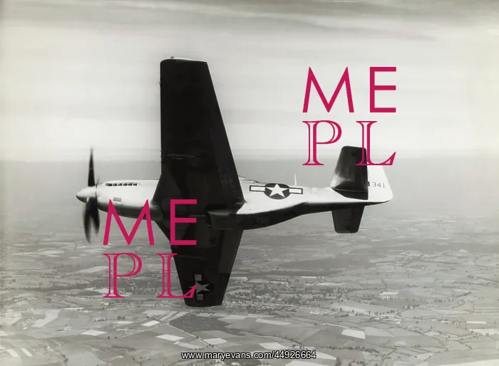 : North American P-51D Mustang : North American P-51D Mustang