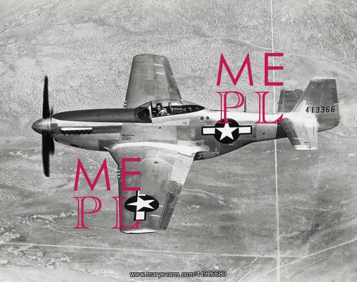 : North American P-51D Mustang : North American P-51D Mustang