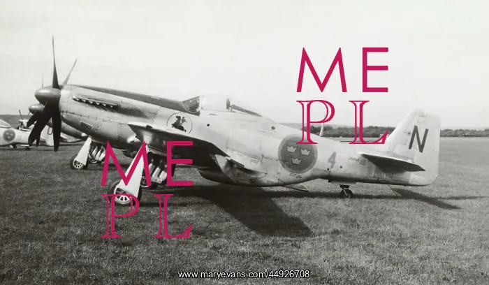 : North American P-51D Mustang : North American P-51D Mustang