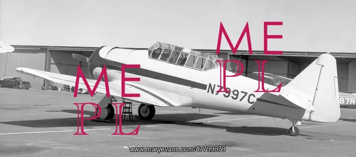 : North American SNJ-5 N7997C : North American SNJ-5 N7997C