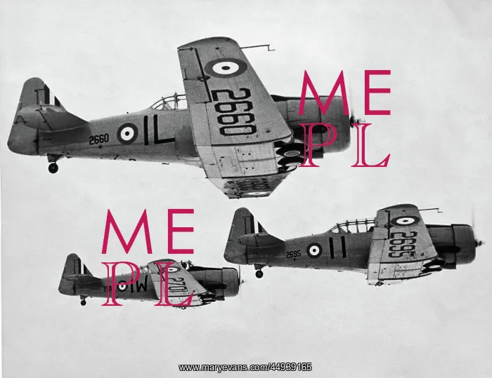 : North American T-6 Harvard : North American T-6 Harvard