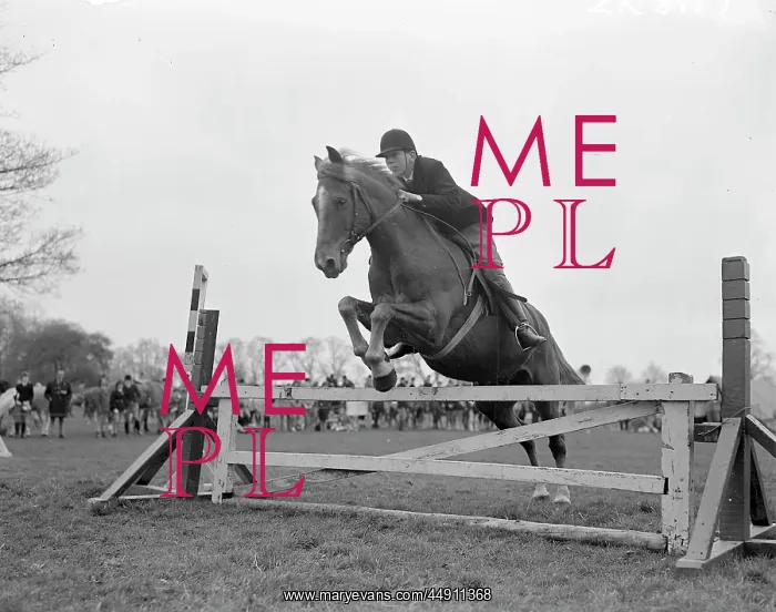: North Cray Horse Show Twelve Field, Sidcup : North Cray Horse Show Twelve Field, Sidcup