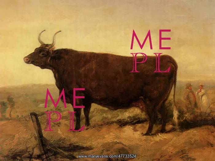  : North Devon Cow, by Landseer