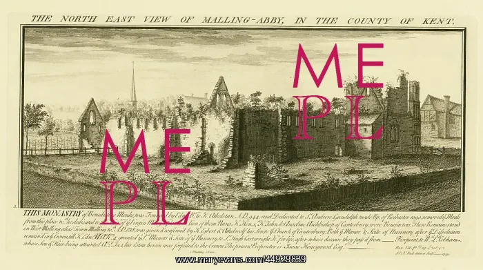 : The North East view of Malling Abby in the County of Kent : The North East view of Malling Abby in the County of Kent