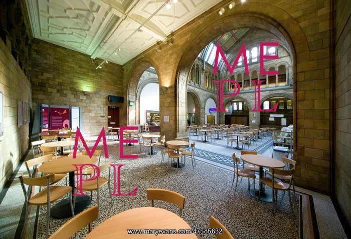 : North hall cafeteria : North hall cafeteria