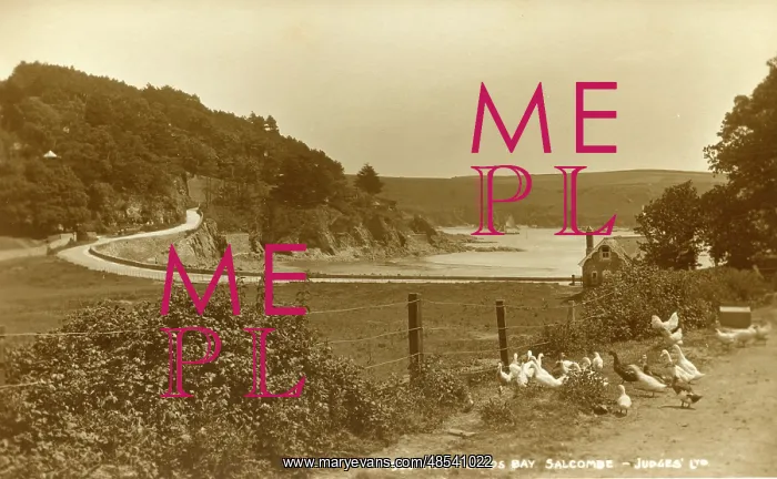  : North Sands Bay, Salcombe, Devon