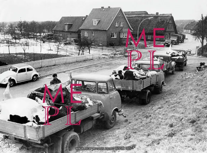 : The North Sea Flood Of 1962 : The North Sea Flood Of 1962