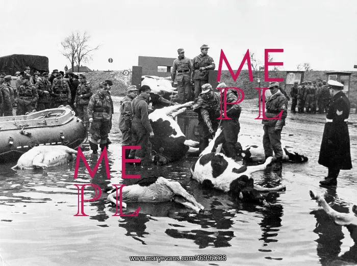 : The North Sea Flood Of 1962 : The North Sea Flood Of 1962