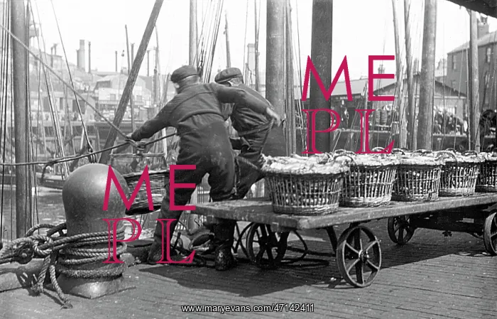  : North Shields Landing the Herring early 1900s