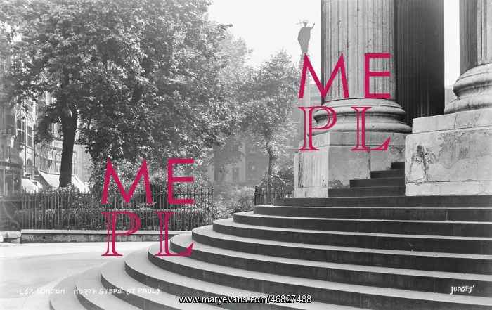 : North Steps of St. Paul's Cathedral : North Steps of St. Paul's Cathedral