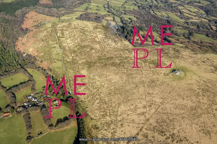 : North Teign, prehistoric coaxial field system, Dartmoor : North Teign, prehistoric coaxial field system, Dartmoor