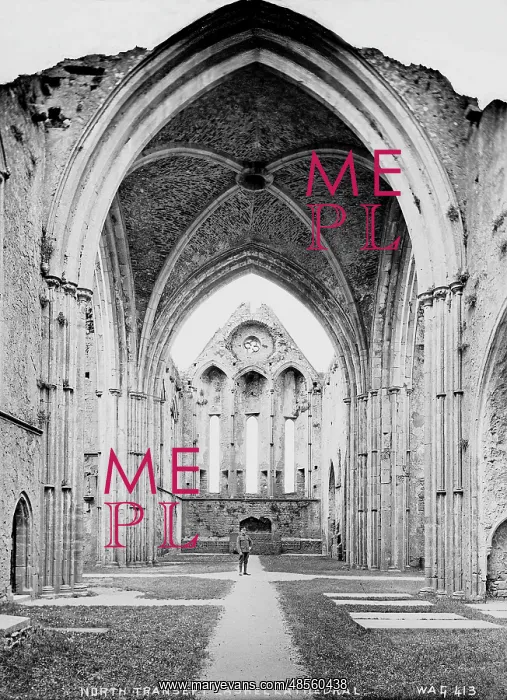 : North Transept, Cashel Cathedral : North Transept, Cashel Cathedral